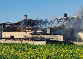 Spłonął budynek gospodarczy w powiecie ryckim
