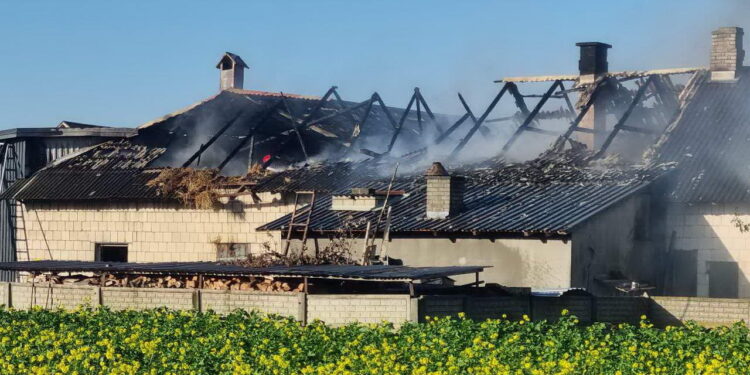 Spłonął budynek gospodarczy w powiecie ryckim