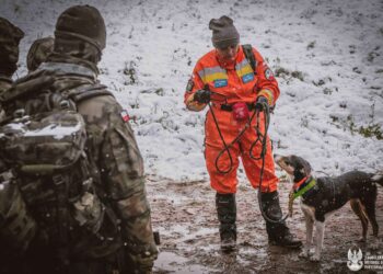 Starsza osoba i dwójka dzieci zaginęli podczas grzybobrania