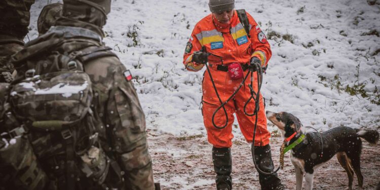 Starsza osoba i dwójka dzieci zaginęli podczas grzybobrania