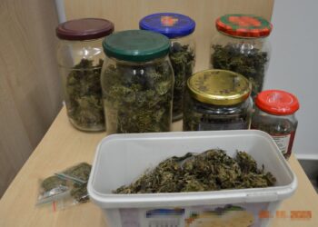 U 42-latka znaleźli marihuanę. Grozi mu do 20 lat więzienia