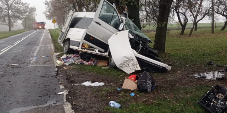 Zjechał z drogi i uderzył w drzewo. Nie żyją dwie kobiety i dziecko