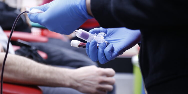 Oddaj krew, dostaniesz album „Kościół Świętej Trójcy w Radzyniu Podlaskim na starej fotografii”