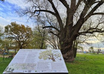 Lublin ma nową ścieżkę przyrodniczą
