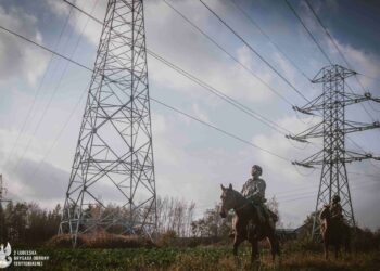 Lubelscy terytorialsi sprawdzali gotowość do wsparcia awaryjnego zasilania energetycznego