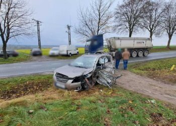 Policja poszukuje świadków śmiertelnego wypadku
